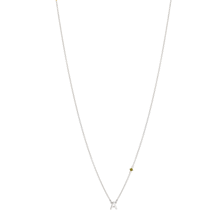 Initial Necklace with Birthstone - Silver